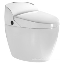 One-Piece Bathroom Ceramic Intelligent Toilet (JN30608)